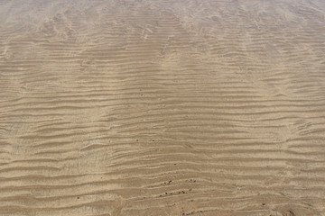 Wet sand pattern texture. Small dunes under clear water. Sandy beach for background. Shore after low tide