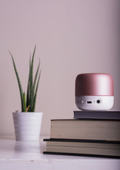 
A small speaker, three books, and a plant on a white cabinet. Vertical format.