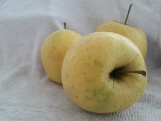 apple on a white background