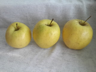 apple on a white background