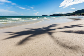Sand beach and sea. Shadow of the palm tree at the sand