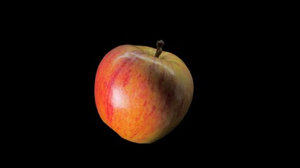 Ripe juicy red yellow apple on black background close-up.Vegetarian food concept. Close up of delicious whole fruit or apple. Slow motion. Organic fresh fruits, healthy food, diet