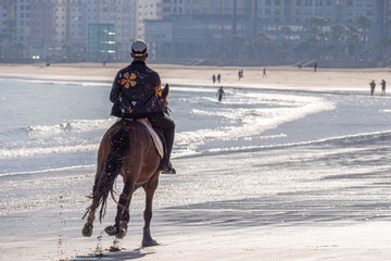 A horserider on the municipal beach of Tangier