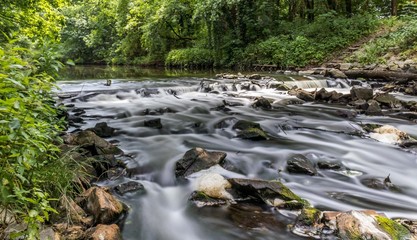 rzeka, woda rozmyty ruch wody między kamieniami, w tle las - obrazy, fototapety, plakaty