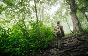 A man stands with his backpack in a mystically beautiful foggy forest and enjoys the silence. Beauty and calm man and nature.