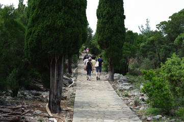 Fototapeta na wymiar Touriste sur l'île de Lokrum, Croatie