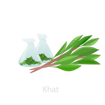 Bundles of khat leaves with raw materials in flasks. The concept of Catha edulis - a chewable organic drug used for euphoria, a relaxing mood boost.