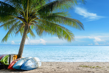Kayak on sunny tropical beach with palm trees on Koh Kood, Island,Thailand. © chartphoto