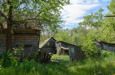 Abandoned village in the Chernobyl zone. Belarus.