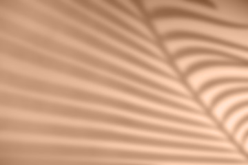 Shadow of palm leaf on natural earthy colors background. Creative drawing of light and shadow for your design
