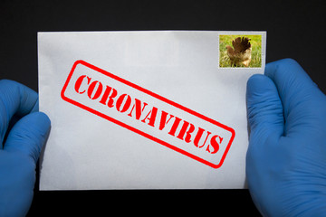 Ludzkie ręce w rękawicach ochronnych z listem, który może zawierać wirusa COVID-19. Przesyłki pocztowe mogą rozprzestrzeniać koronawirusa.

 - obrazy, fototapety, plakaty