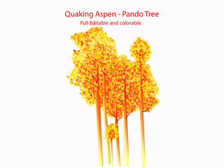Quaking aspen Pando tree Flat vector Icon illustration full editable