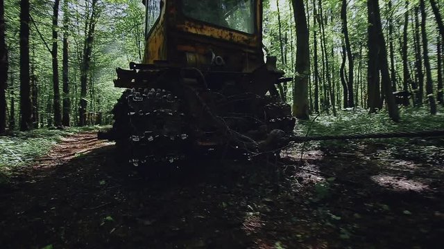 Old tractor pulls a tree trunk in the forest.