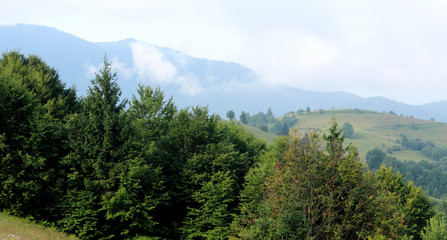 Fototapeta na wymiar Amazing summer landscape of Transcarpathian mountains