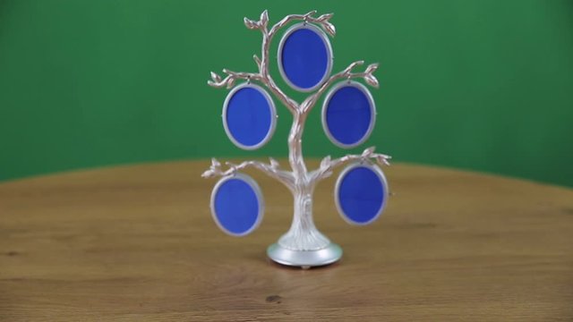 Genealogical tree with place to insert a photo on a green screen