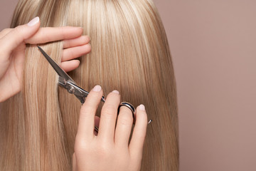 Hairdresser cuts long blonde hair with scissors. Hair salon, hairstylist. Care and beauty hair products. Dyed hair