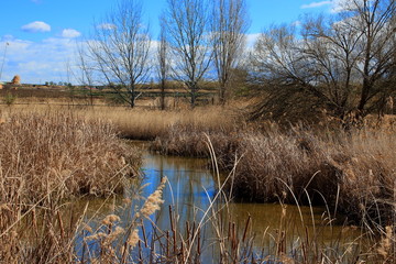 Natural area of Lake Ivars and Vilasana. A place to enjoy all kinds of birds and walk around in the...