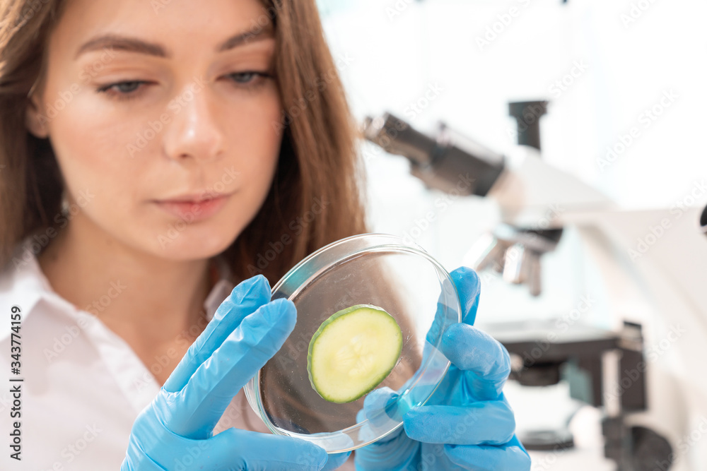 Wall mural Inspection of the quality of vegetables and fruits in the laboratory of food quality