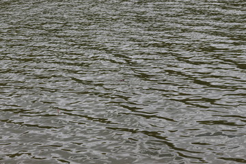
Calm surface of the water