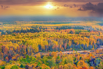dramatic autumn colorful forest on the background of the sun with storm clouds