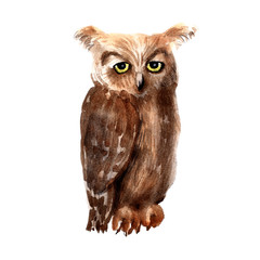 Watercolor image of an owl of the genus Bubo