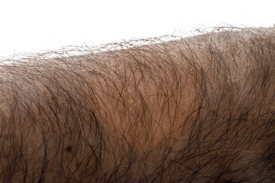 Porzione di braccio umano con peli , isolata su sfondo bianco