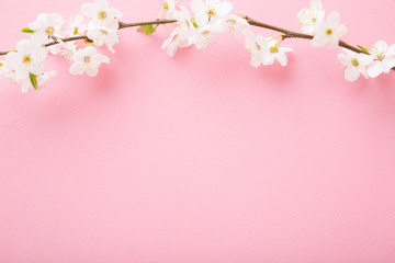 Fresh branches of white cherry blossoms on light pink table background. Pastel color. Flat lay....