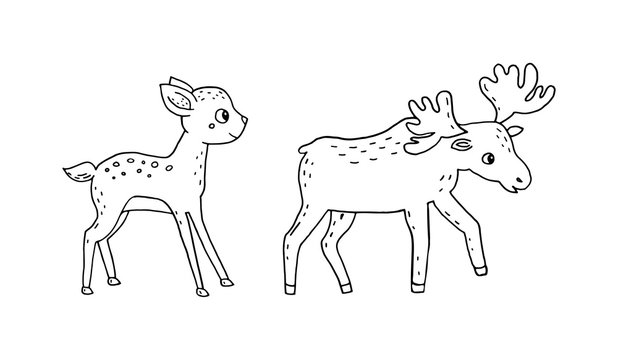 Doodle illustration of a deer and elk isolated on a white background.