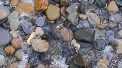 sea pebbles on a rocky beach in Sunny summer day
