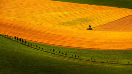 Pola w krajobrazie rolnictwa w Czechach