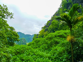 Obraz premium Thai Vi temple on Tam Coc river, Ninh Binh, Vietnam