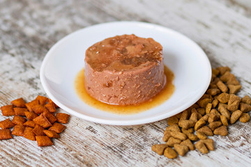 Cat food and toys for a healthy feline life