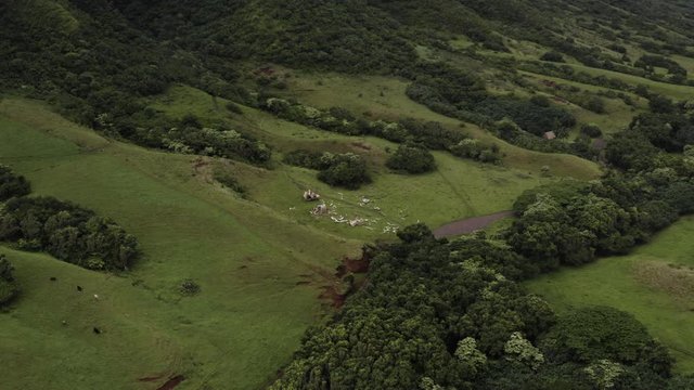 Aerial flyover of the iconic film location, Kualoa Ranch, Oahu used for Hollywood movies like Jurrasic World