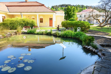 Obraz premium Water pond with plants and Victoria Regia water lily, historical building in background on Spa island in Piestany (SLOVAKIA)