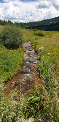 Fototapeta na wymiar small stream / river
