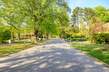Fototapeta premium Asphalt walk through park on spa island in Piestany (SLOVAKIA)
