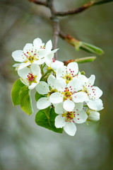 Frühling Natur Spring