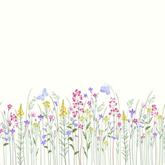 seamless floral border with summer flowers