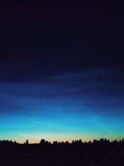 sunset over the forest