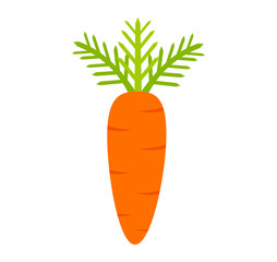 Cartoon carrot vegetable icon on white background. Carrot symbol vector illustration.