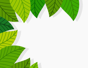Fototapeta na wymiar Green leaves border. Vector illustration background.