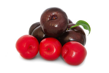 plums on a big background, isolate. bright plums black or red without background.