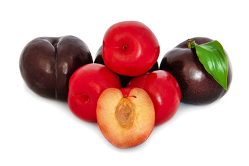 plums on a big background, isolate. bright plums black or red without background.