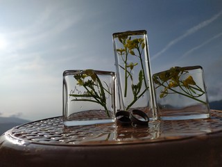 glass of water with leaves in blue sky 
