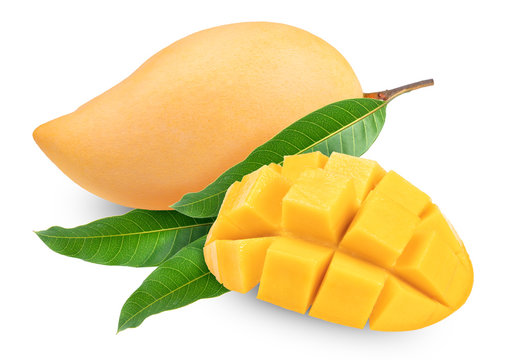 Download Yellow Mango Photos Royalty Free Images Graphics Vectors Videos Adobe Stock PSD Mockup Templates