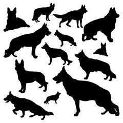 Silhouette of a German shepherd. Black silhouette of a dog, set of illustrations on a