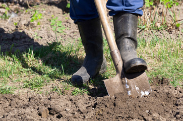 Man digging ground in the garden for plants