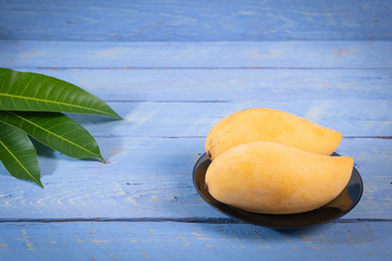 Mango with green leaves. The premium quality Mango (Nam Dok Mai) from thailand