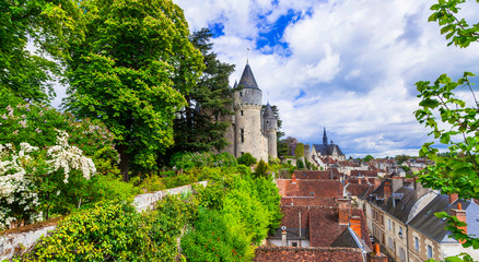 France tourism and travel. Beautiful castles and medieval villages of Loire valley - chateau de...