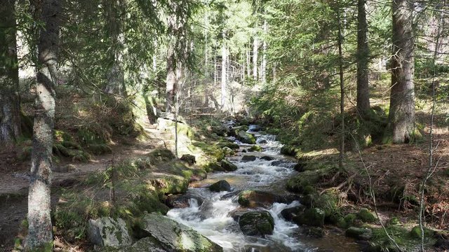 Gorges et cascades de la Menzenschwander Alb, village de Menzenschwand en For&ecirc;t-Noire dans le Baden-Wurtemberg. Allemagne du sud